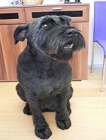 2012-07-24 11.14.43.jpg